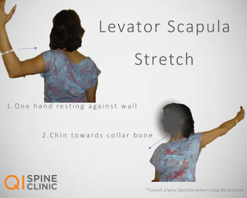 LEVATOR SCAPULA STRETCH