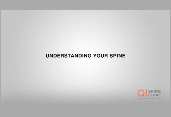Understanding Spine