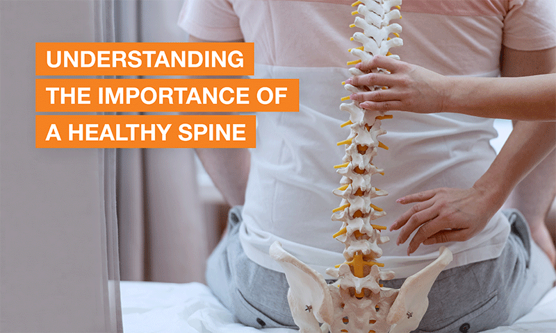 How does a healthy spine support a better quality of life?