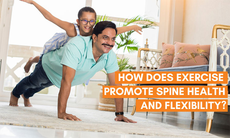 How does exercise promote spine health and flexibility?
