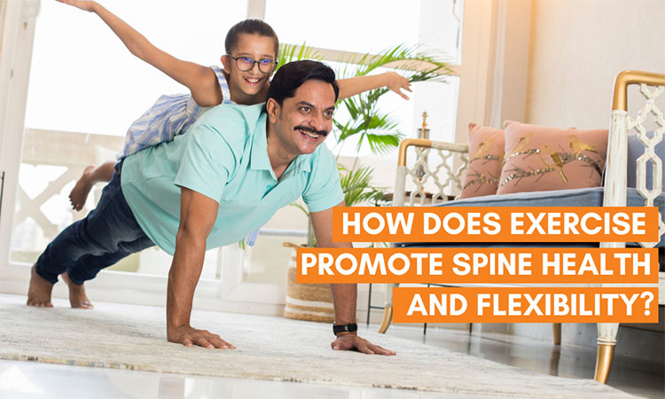 How Does Exercise Promote Spine Health And Flexibility QI Spine