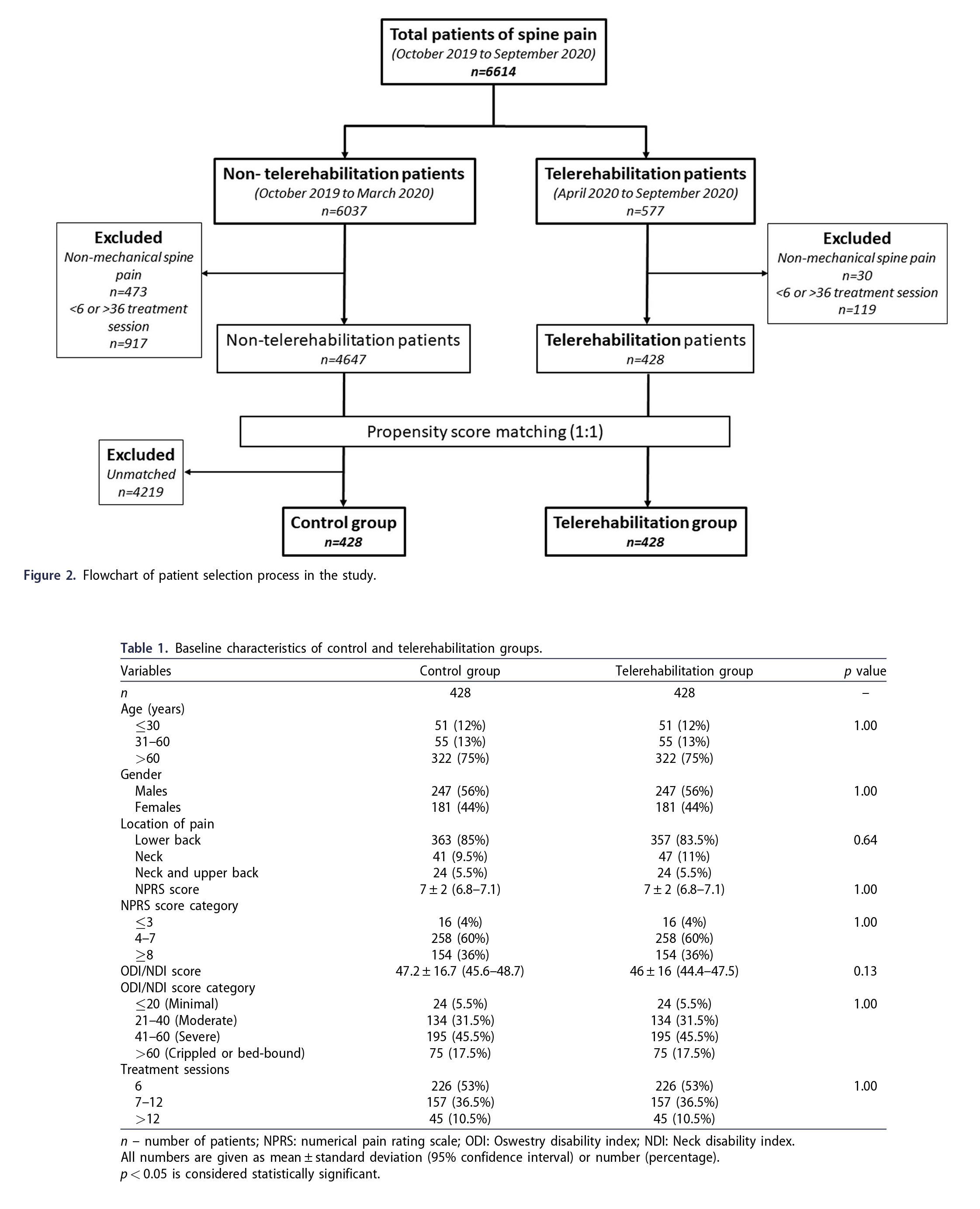 QI spine research paper