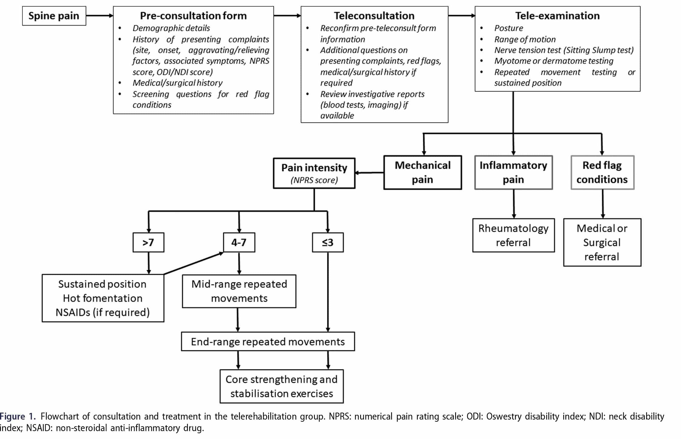 QI spine research paper