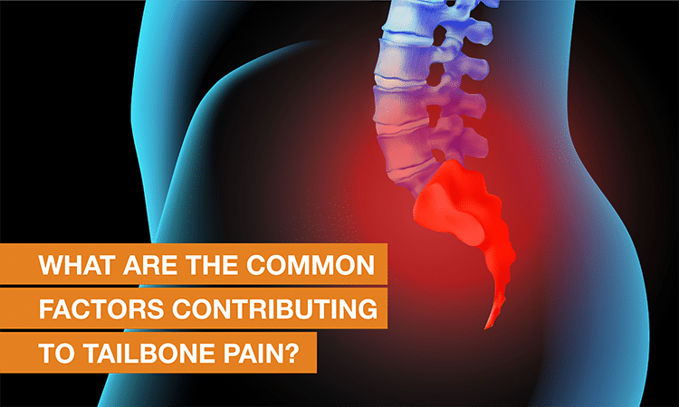 https://www.qispine.com/wp-content/uploads/2023/08/Tailbone-pain_Blog_9Aug.png